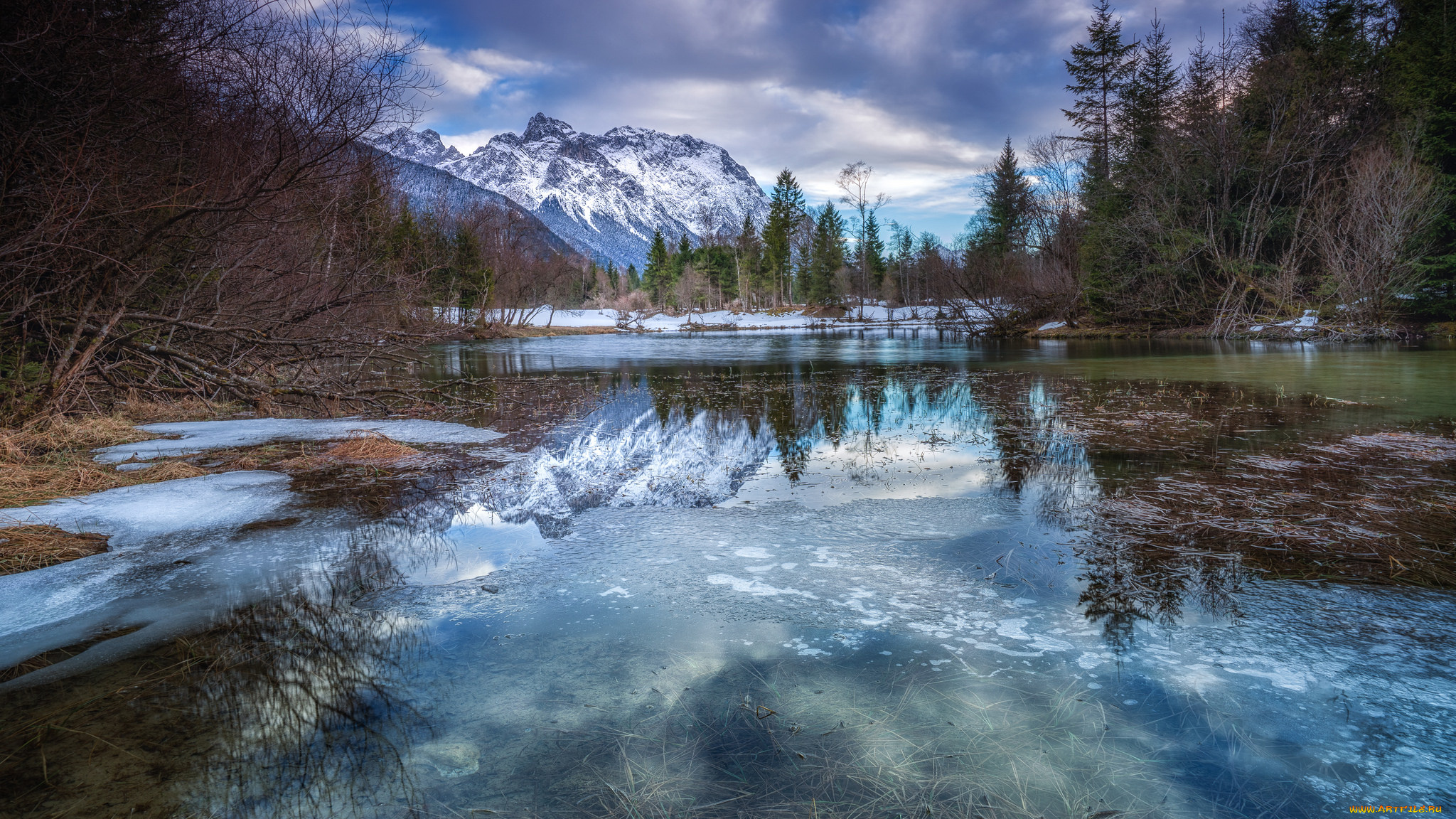 природа, реки, озера, лес, река