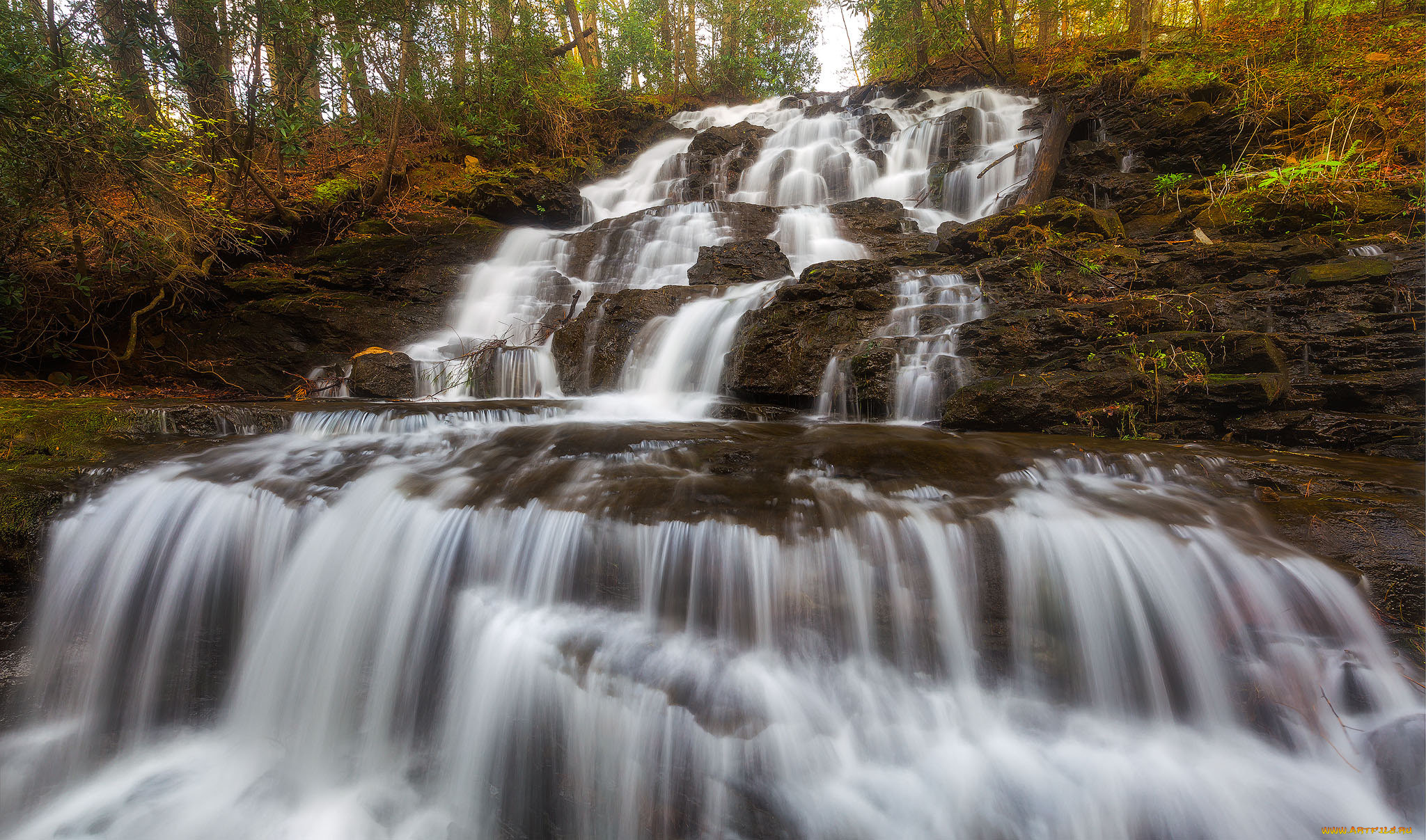 природа, водопады, лес, река, водопад