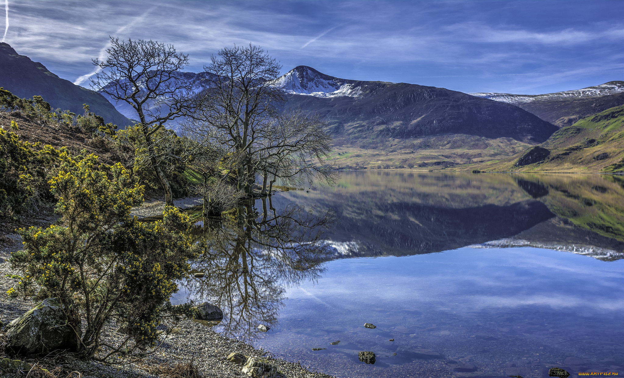 природа, реки, озера, лес, река