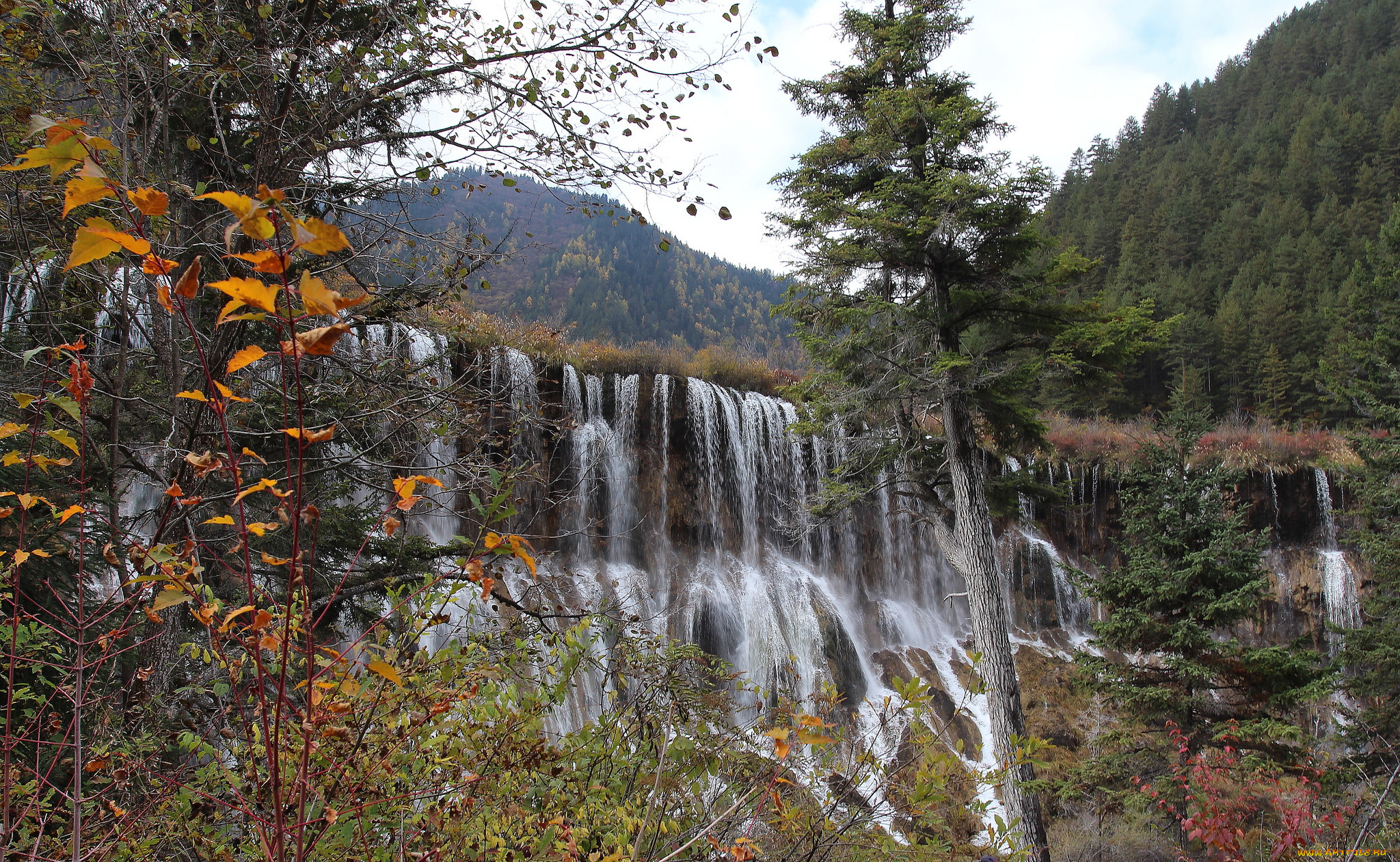 природа, водопады, лес, река, водопад
