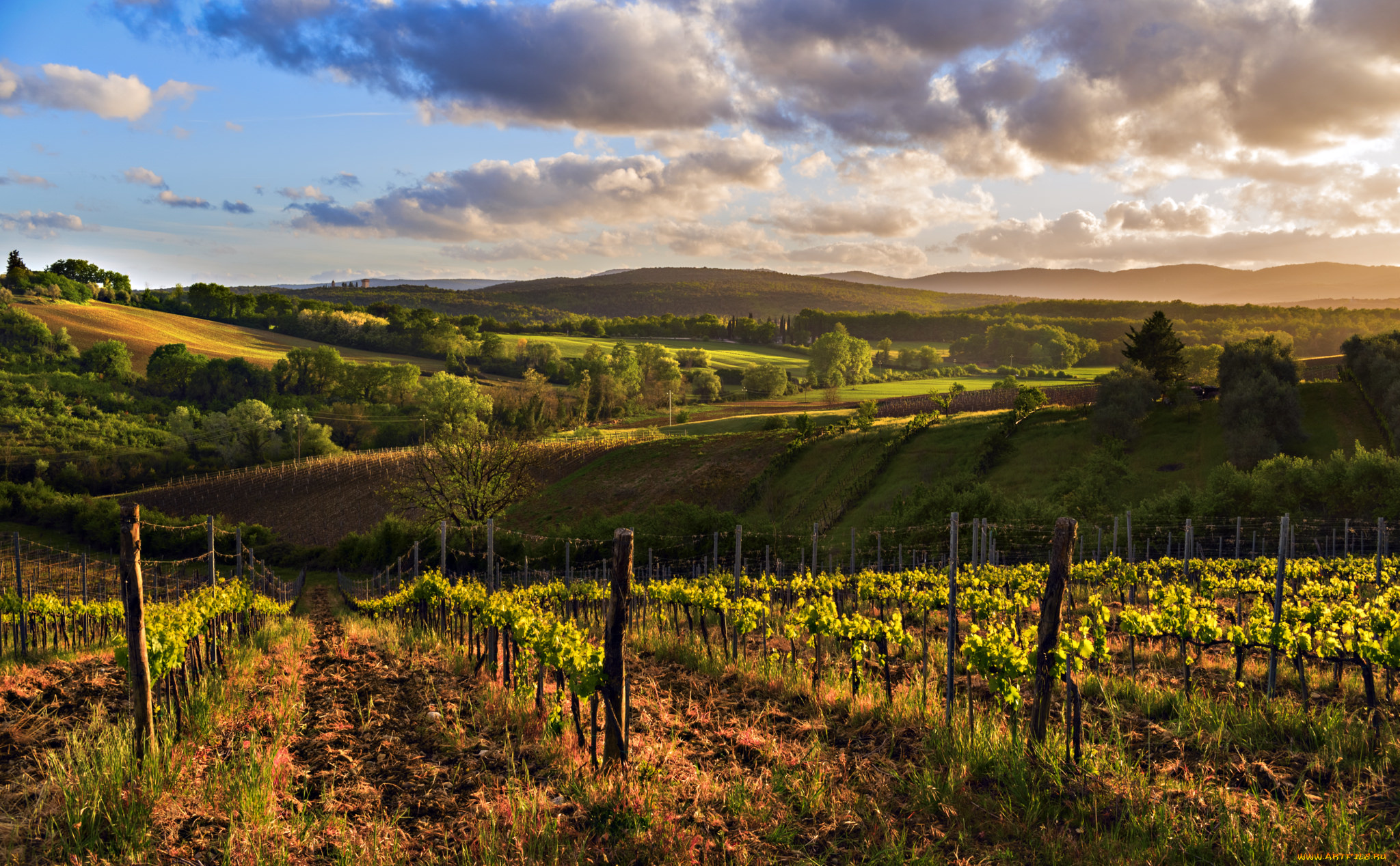 природа, пейзажи, простор