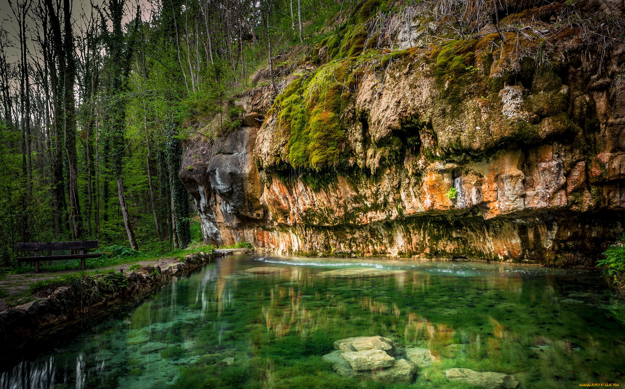 природа, реки, озера, лес, река