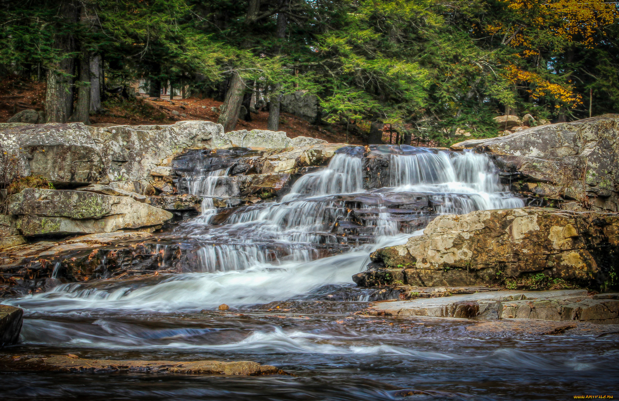 природа, водопады, лес, река, водопад