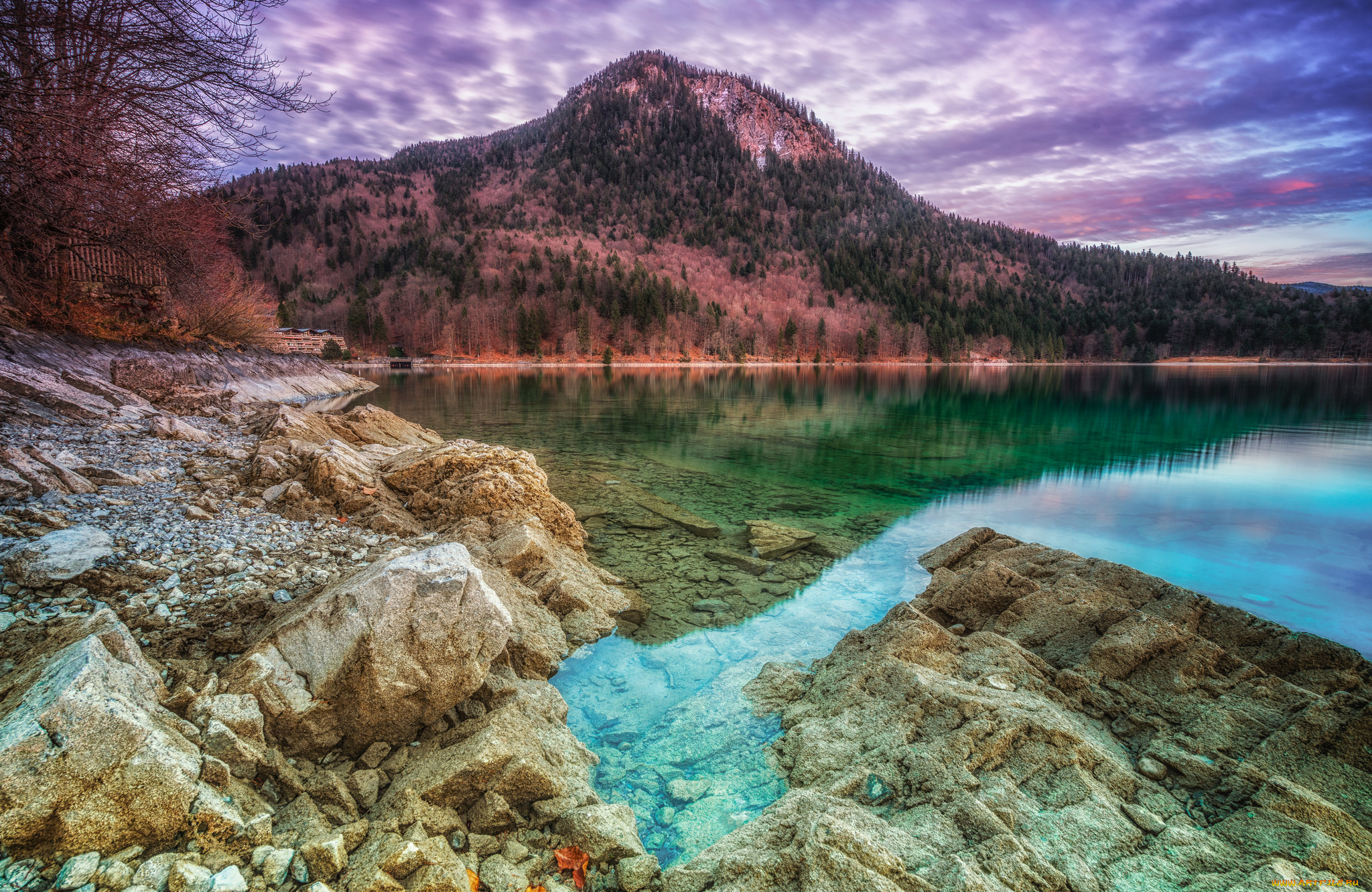 природа, реки, озера, река, лес