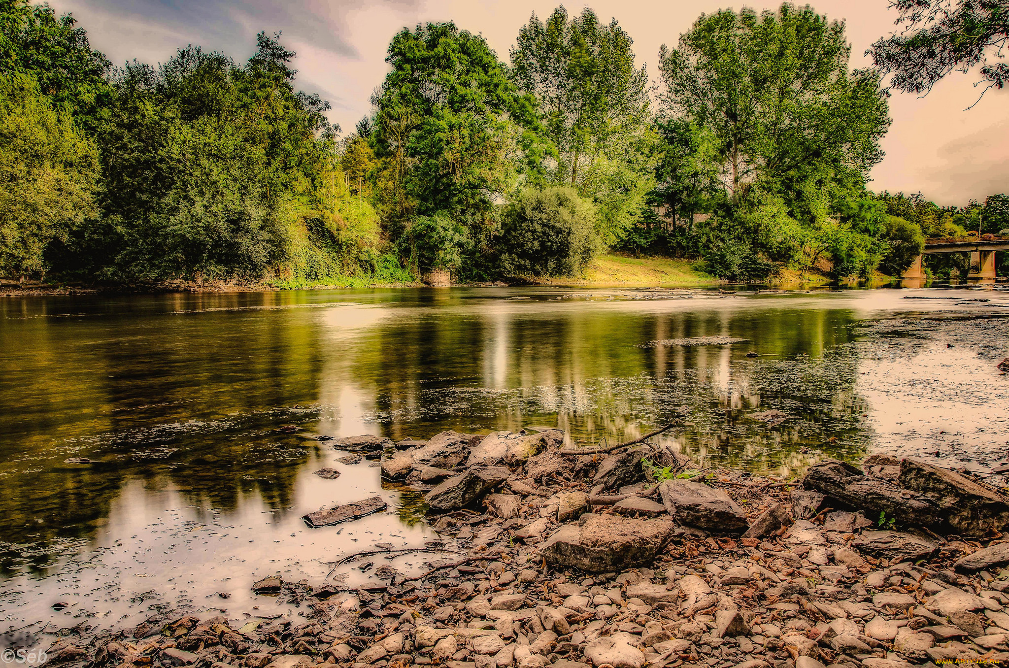 природа, реки, озера, лес, река