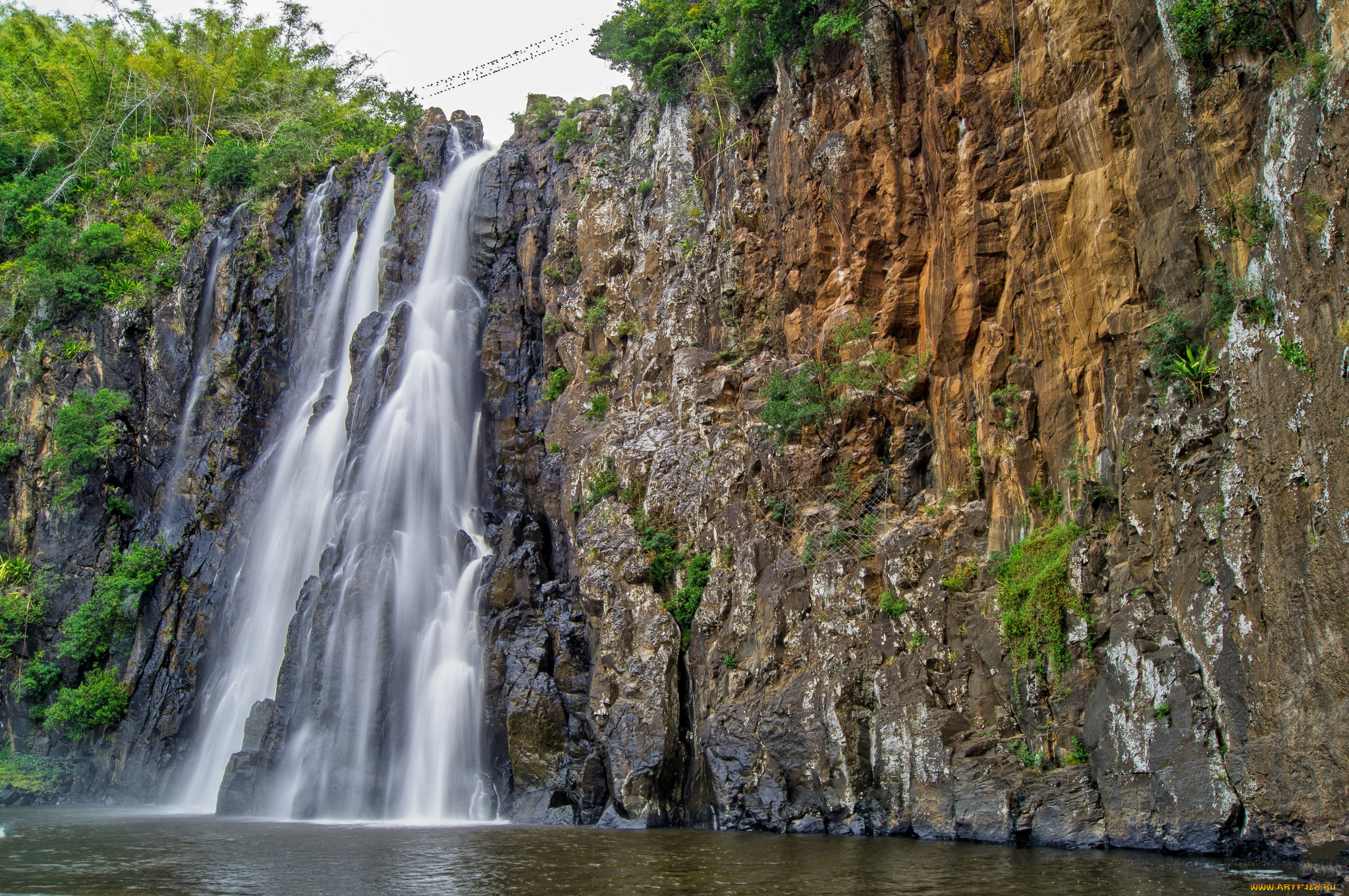 природа, водопады, лес, река, водопад