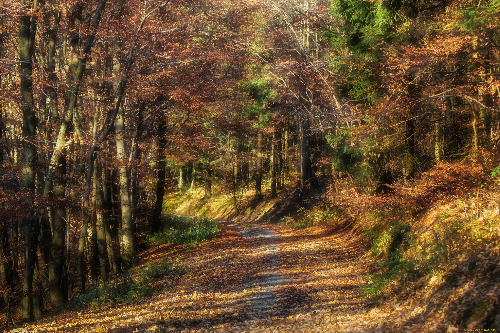 природа, дороги, тракт