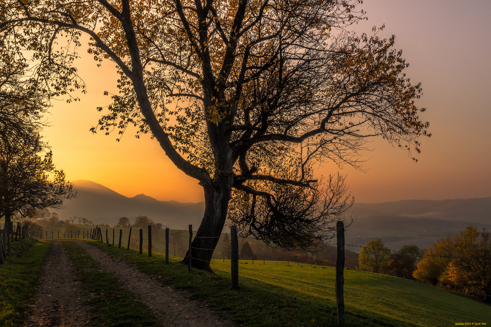 природа, дороги, тракт