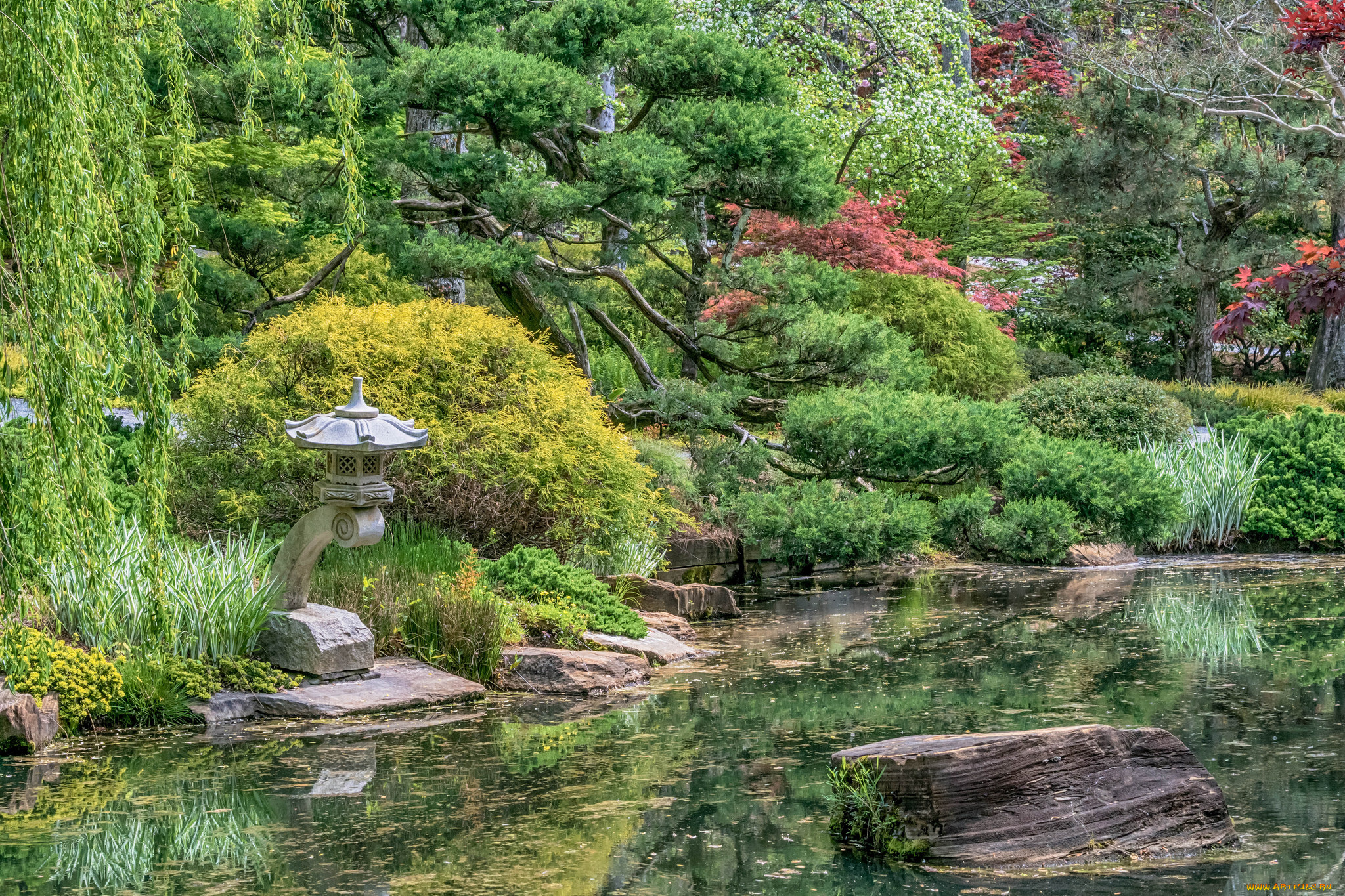 природа, реки, озера, лес, река