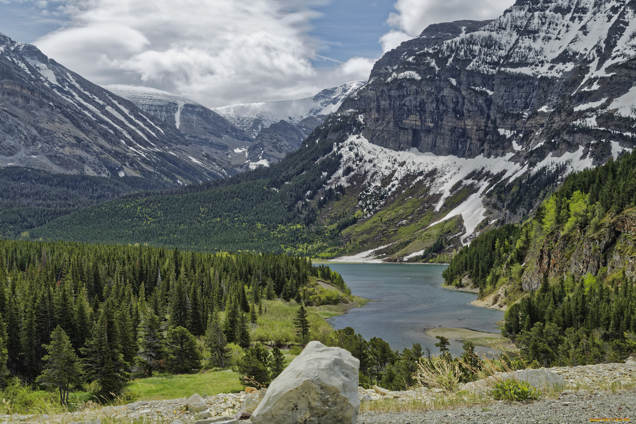 природа, реки, озера, лес, река