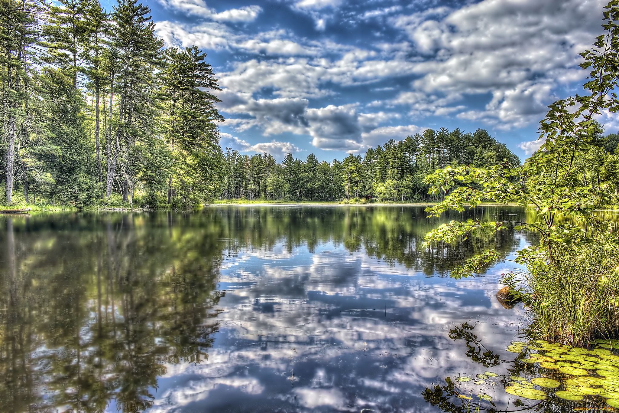 природа, реки, озера, лес, река