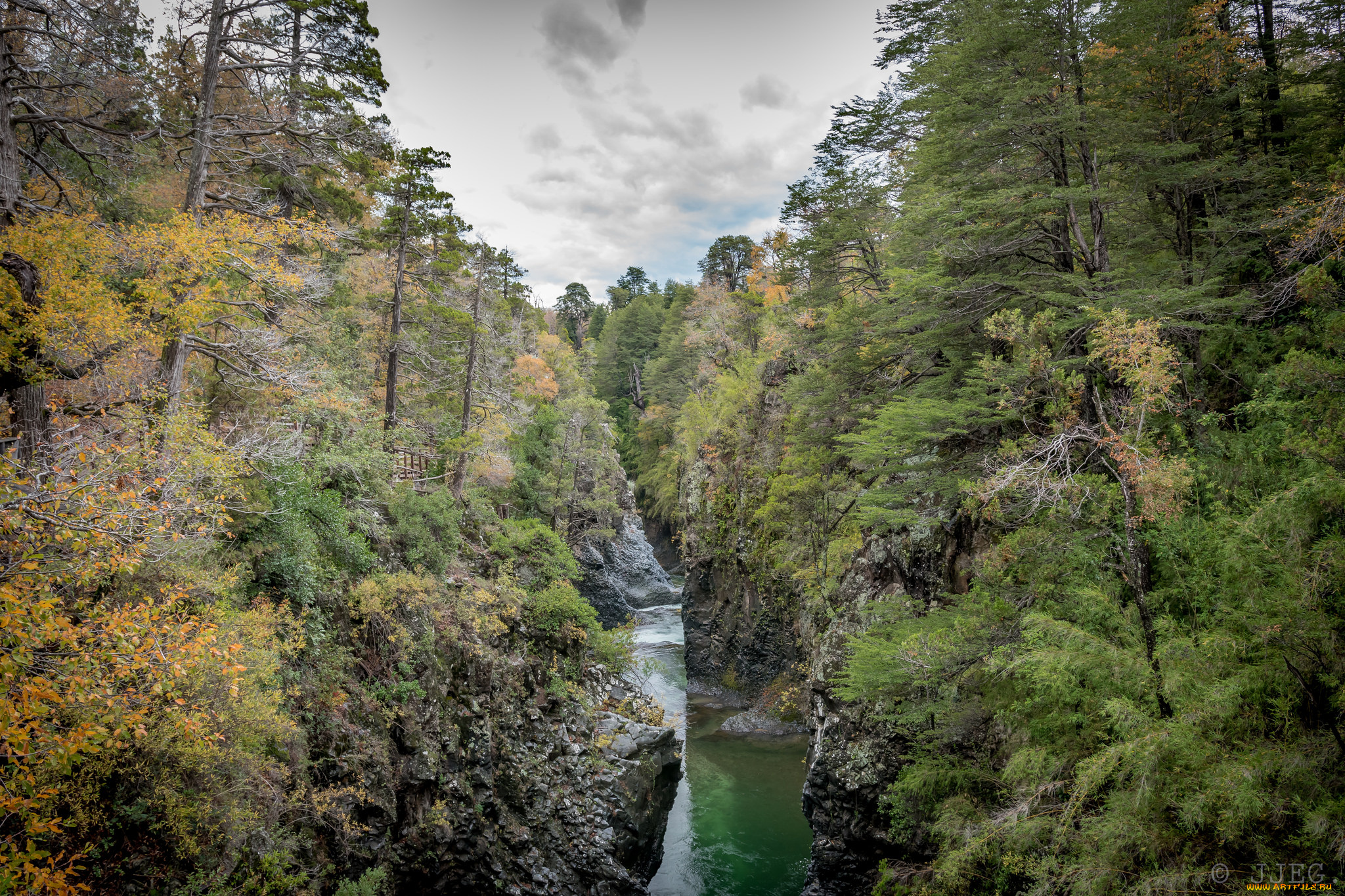 природа, реки, озера, лес, река