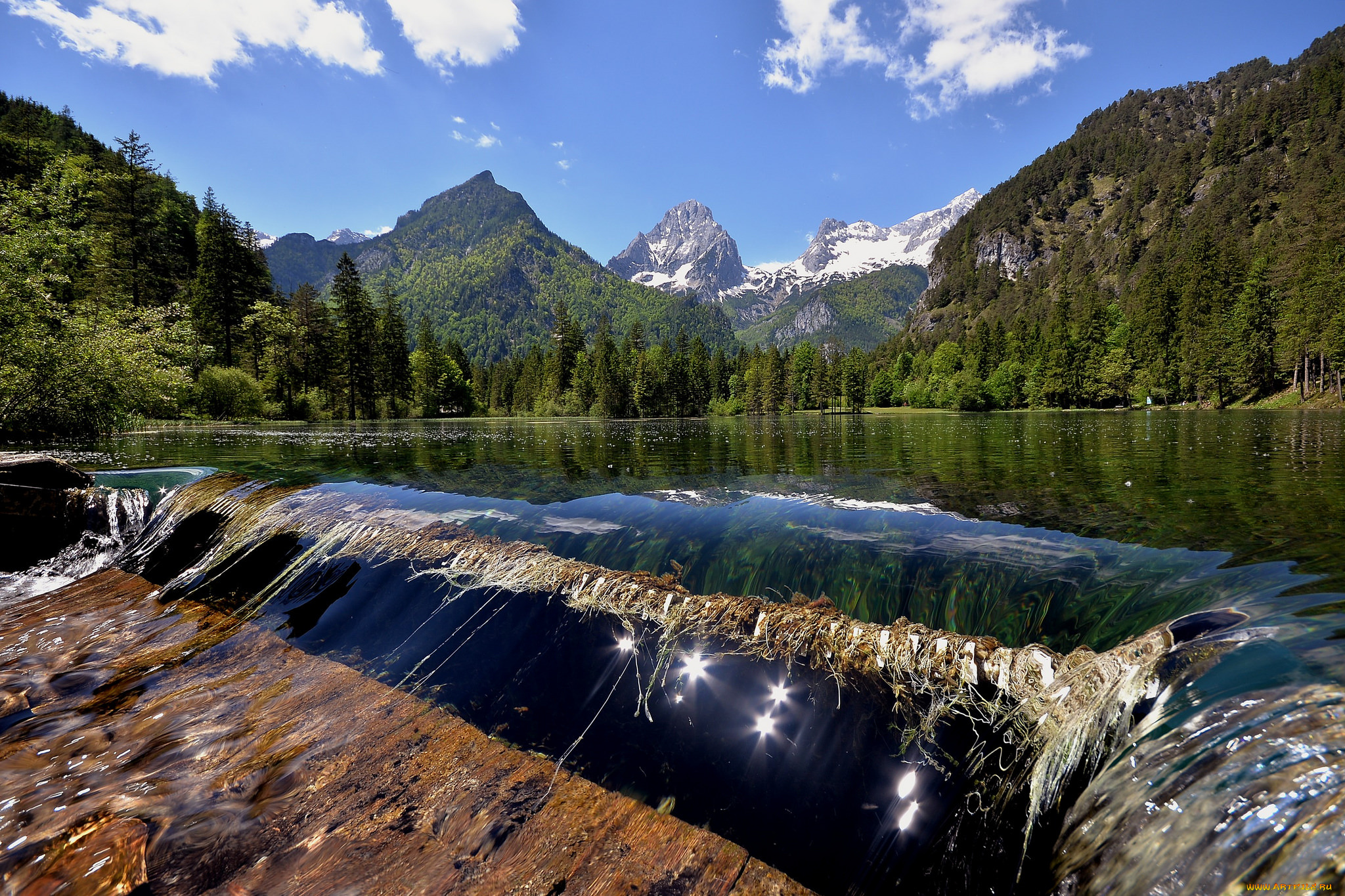 природа, реки, озера, лес, река