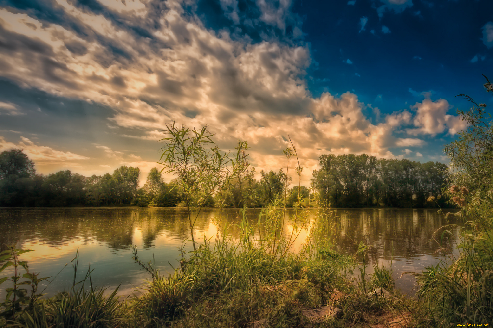 природа, реки, озера, река, лес