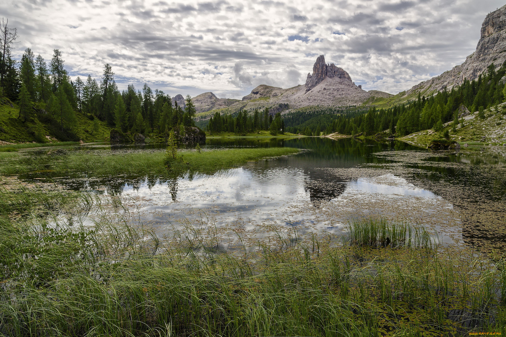 природа, реки, озера, река, лес