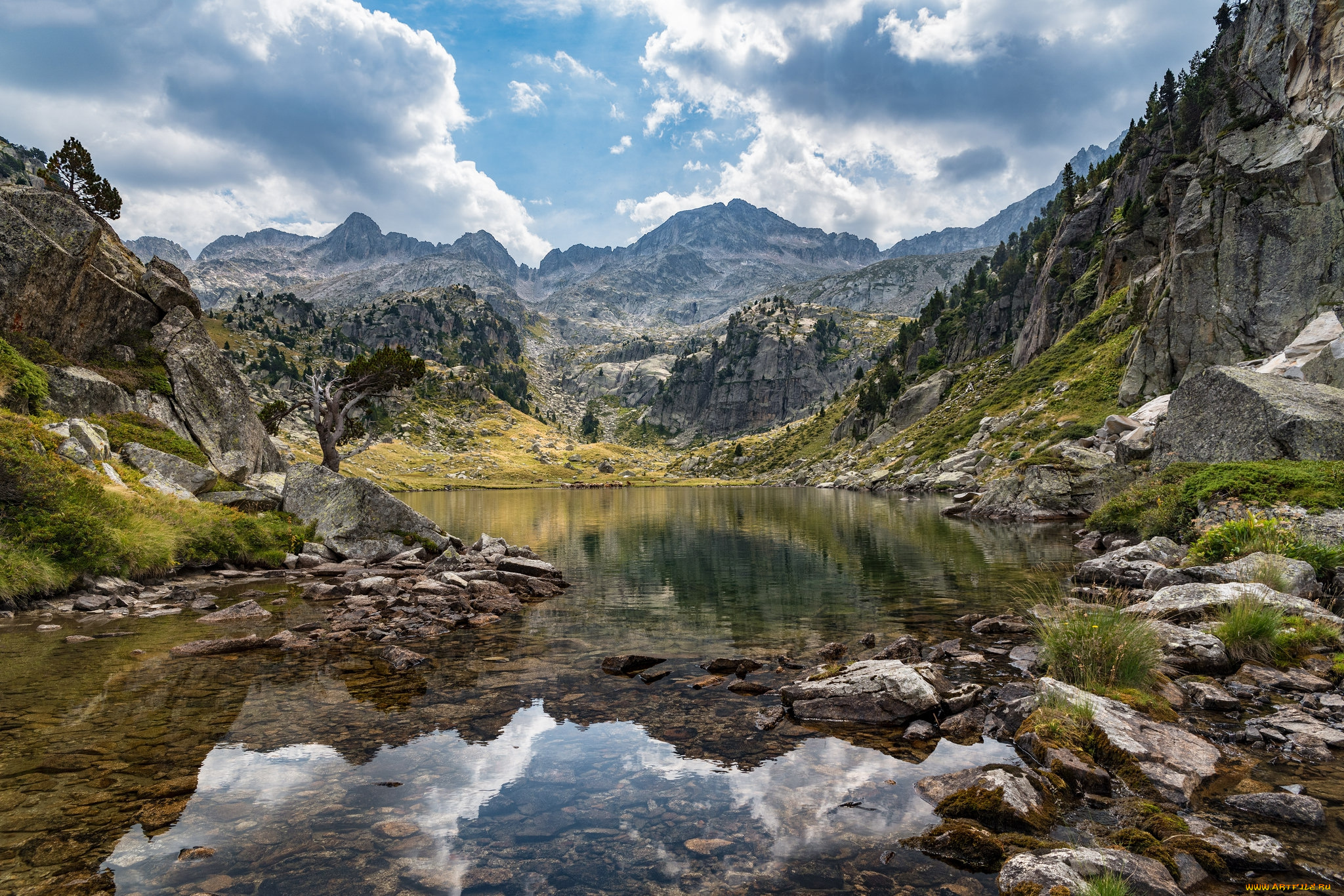 природа, реки, озера, река, лес