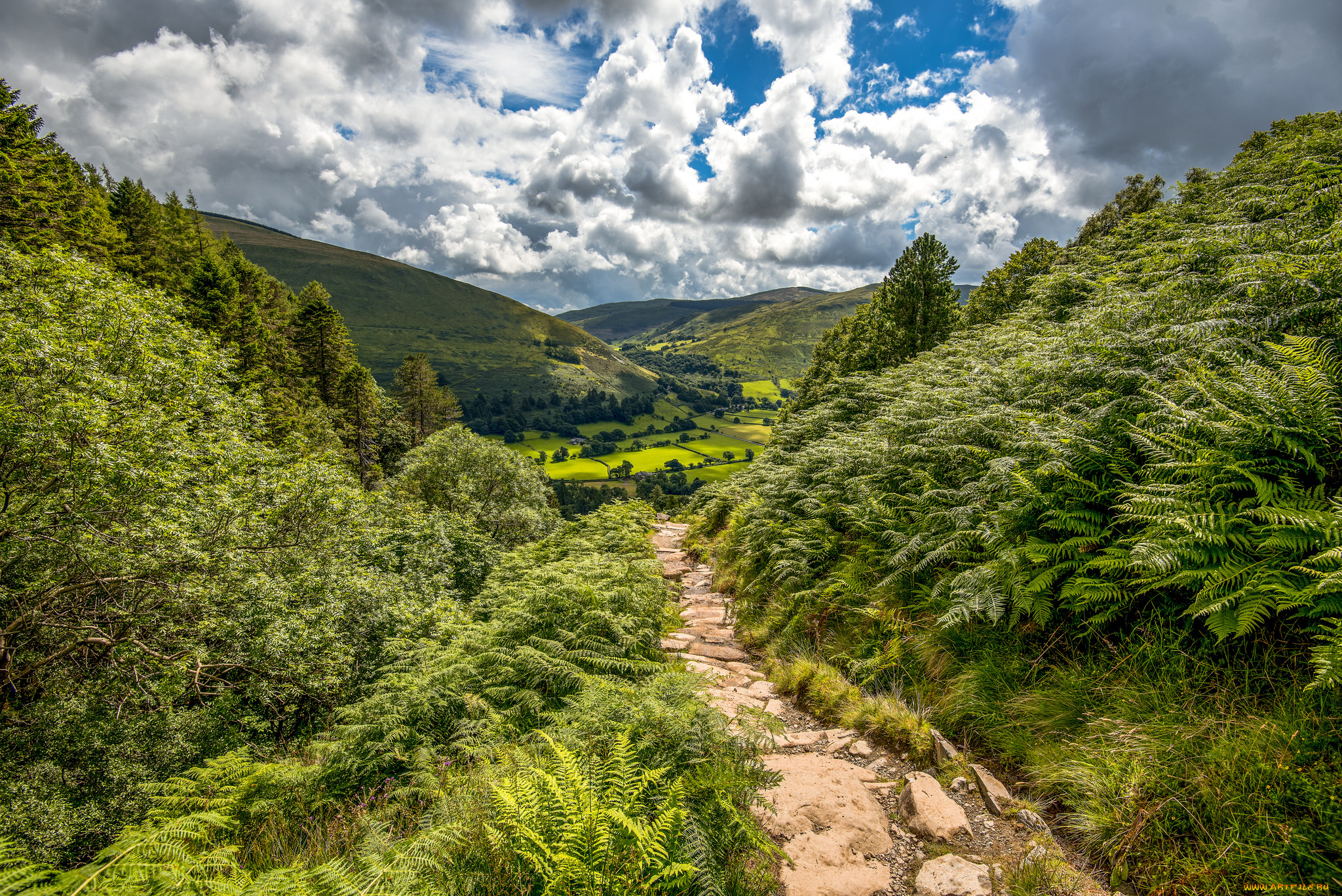 природа, дороги, тракт