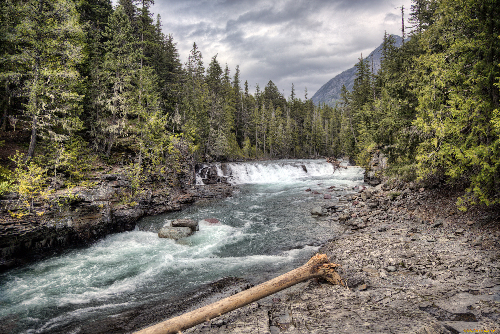 природа, реки, озера, лес, река