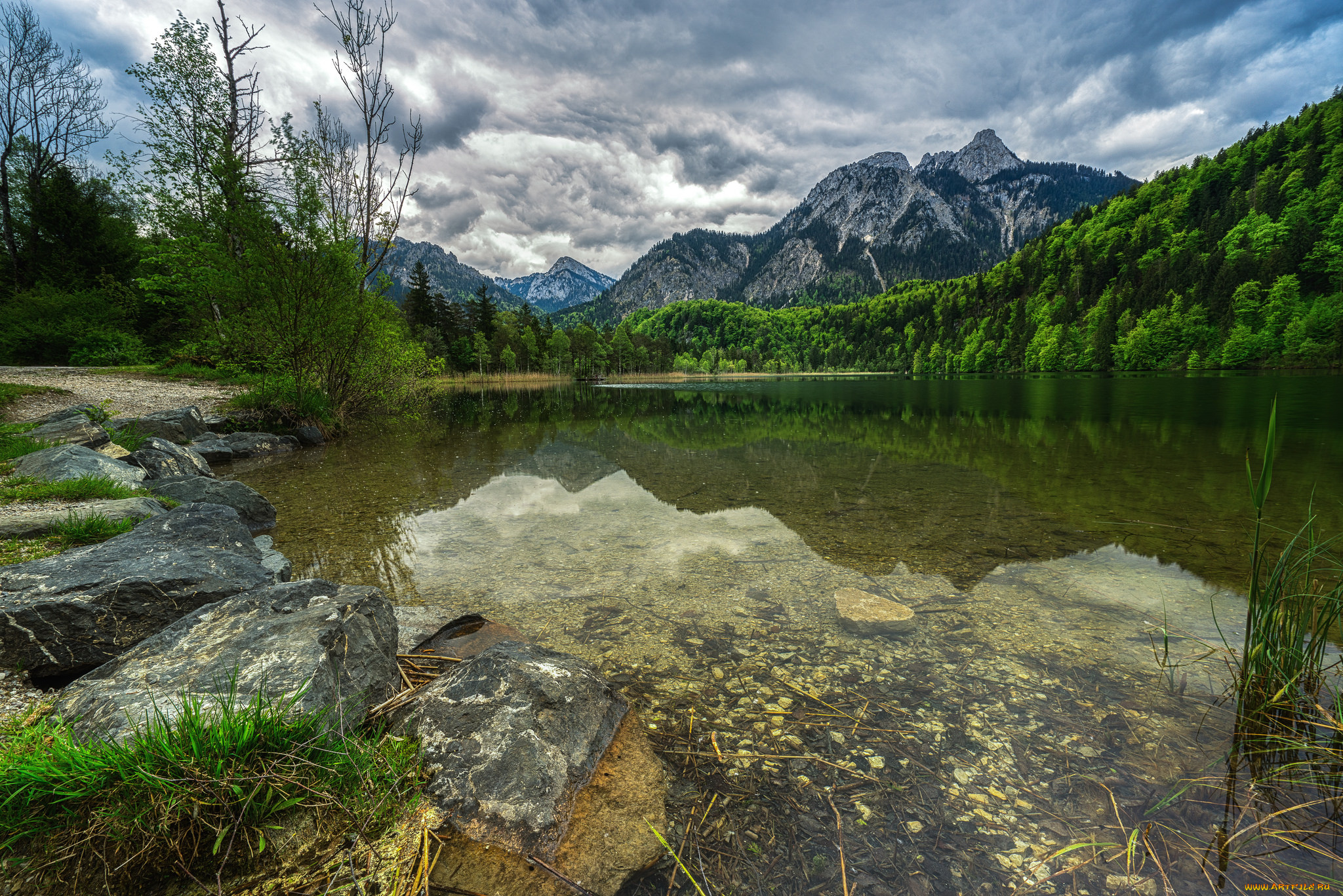 природа, реки, озера, лес, река