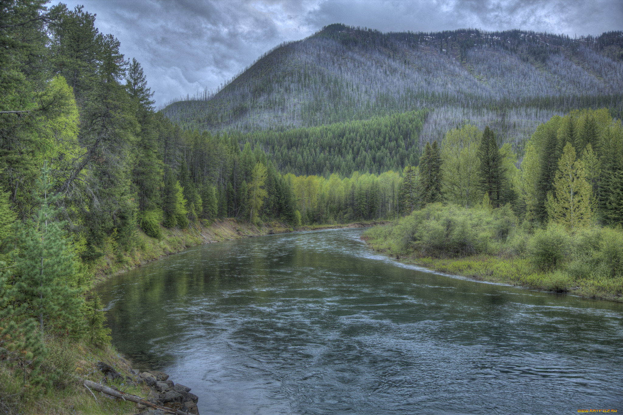 природа, реки, озера, река, лес