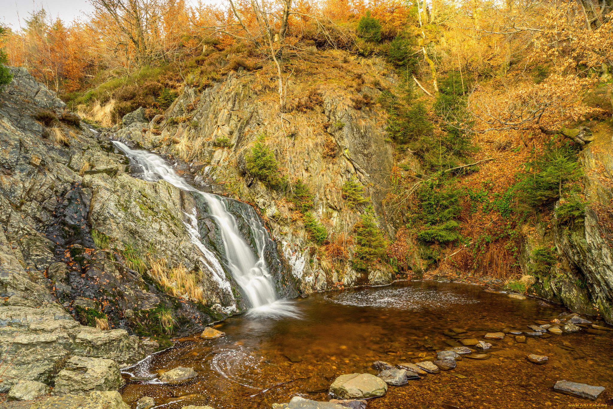 природа, водопады, лес, река, водопад