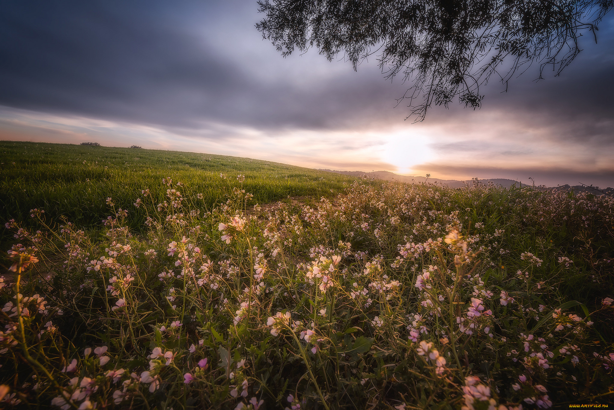 природа, восходы, закаты, рассвет