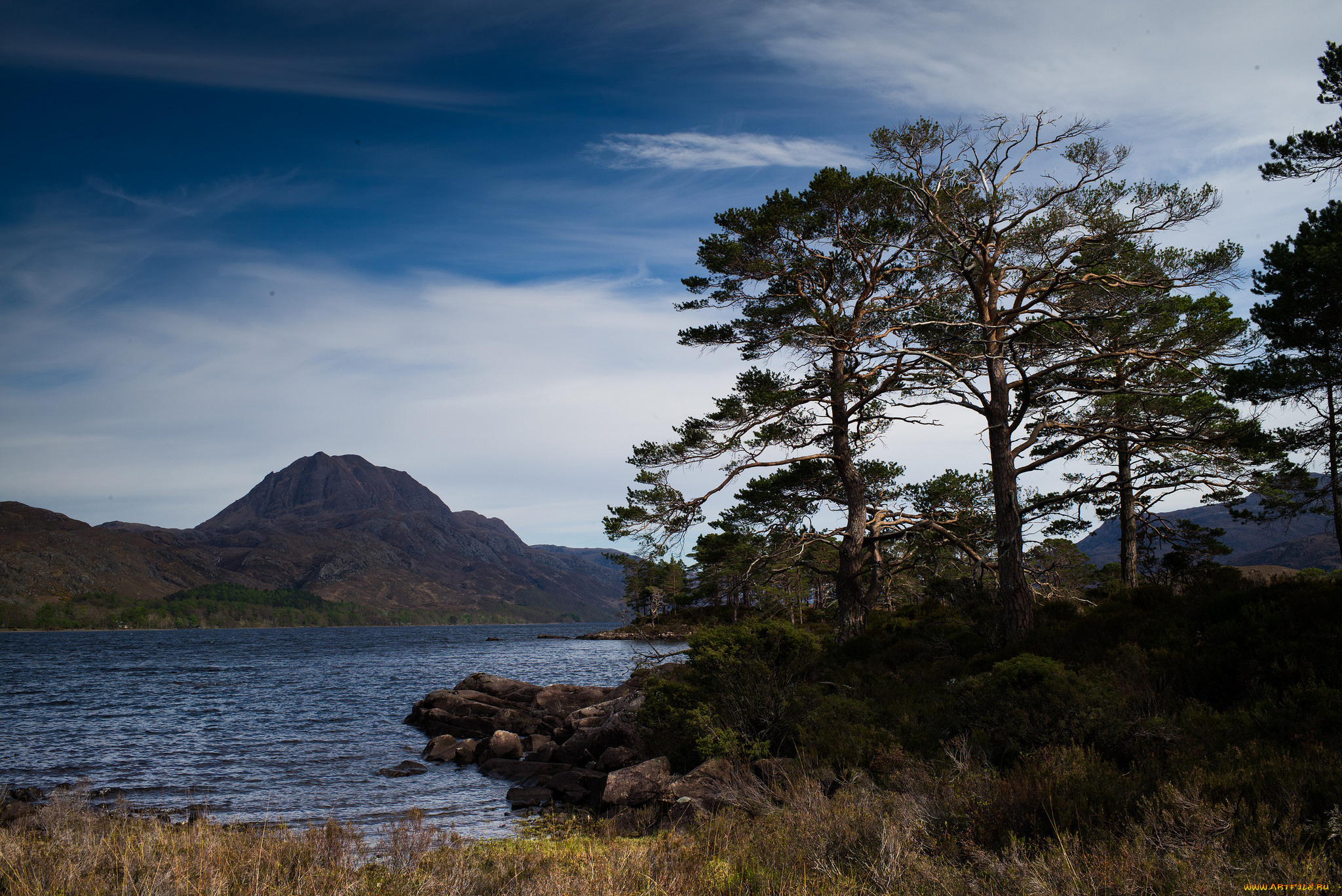 природа, реки, озера, лес, река