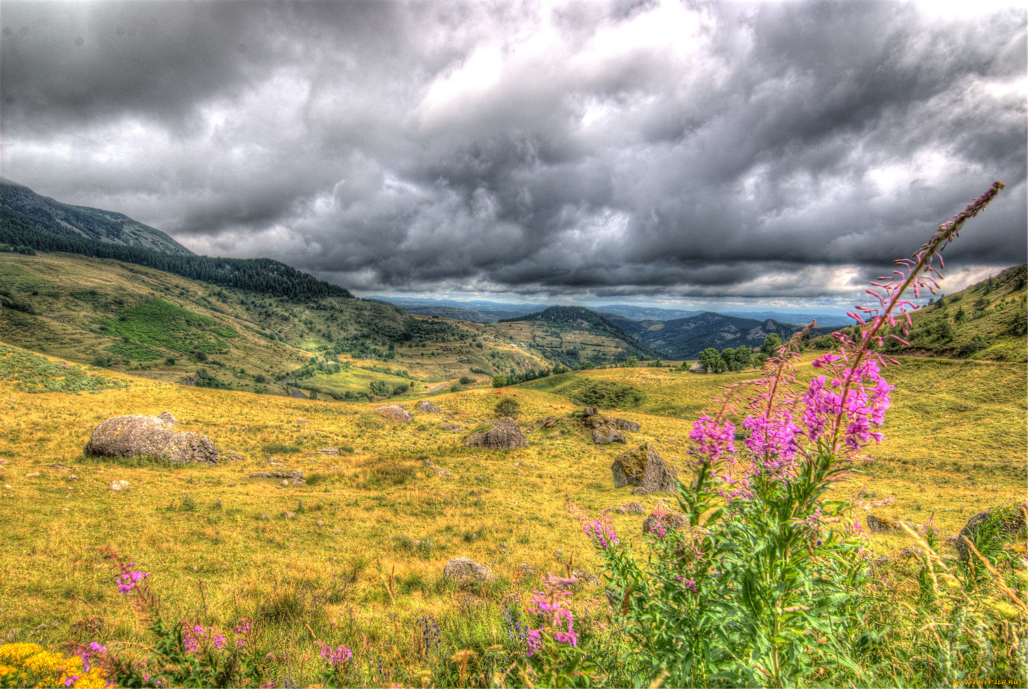 природа, пейзажи, простор