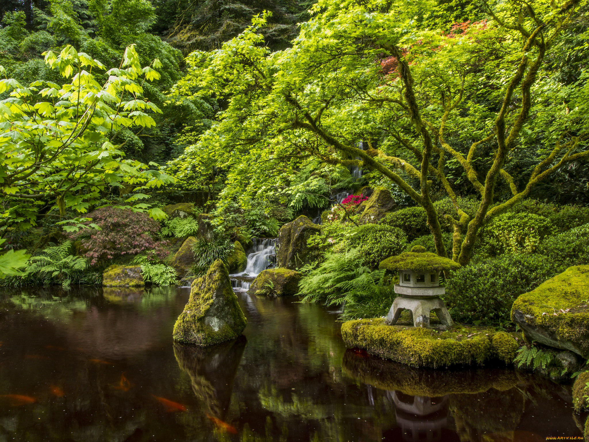 природа, парк, портлендский, Японский, сад, портленд, орегон, portland, japanese, garden