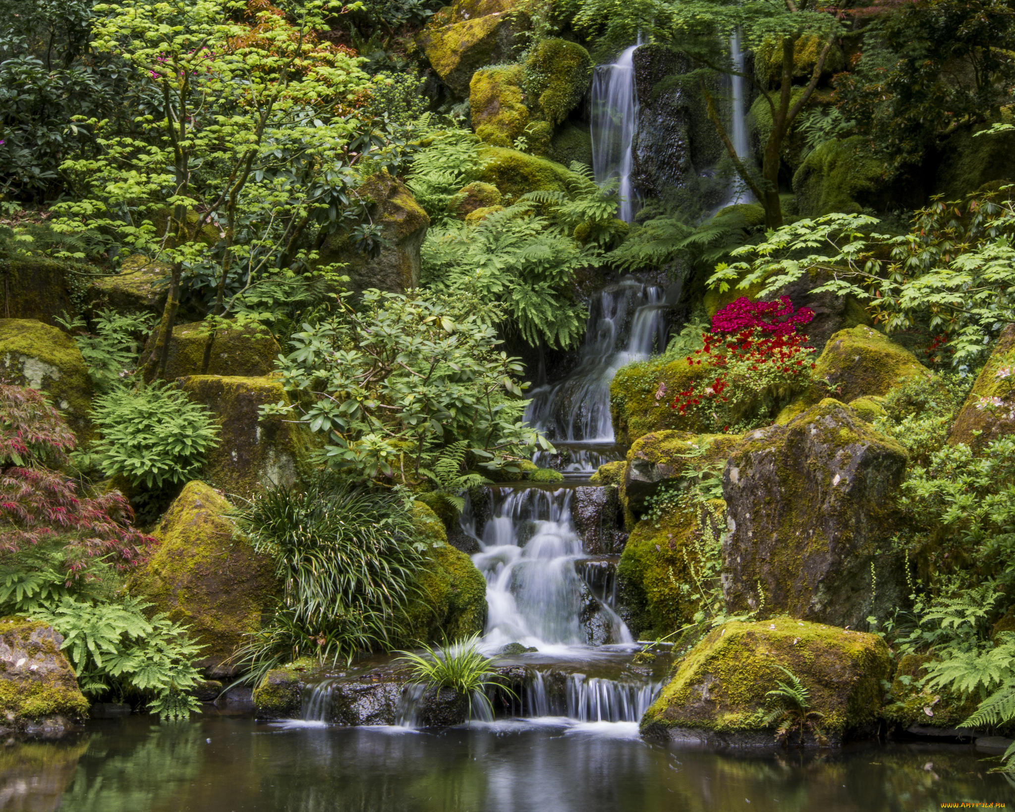 природа, парк, портленд, портлендский, Японский, сад, орегон, portland, japanese, garden