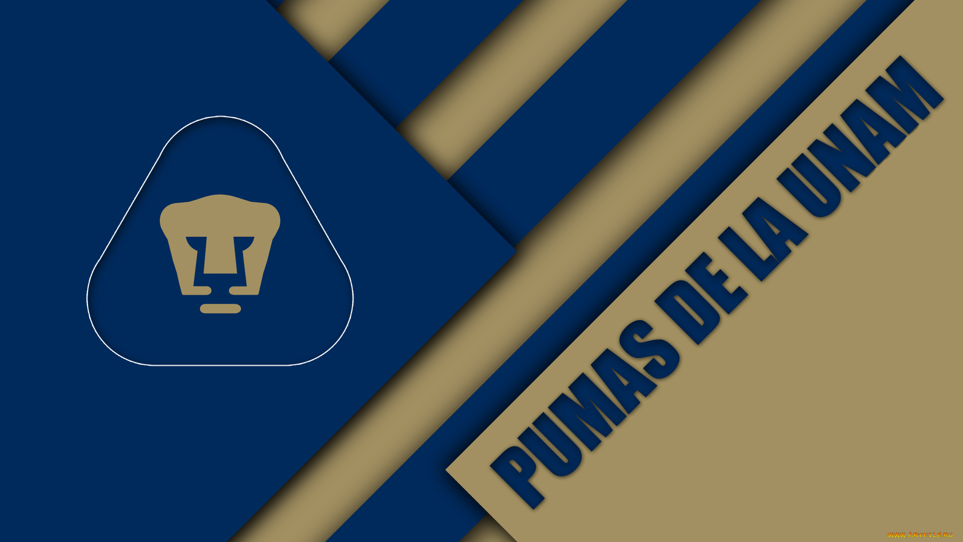 спорт, эмблемы, клубов, логотип, фон, цвета, полосы, линии