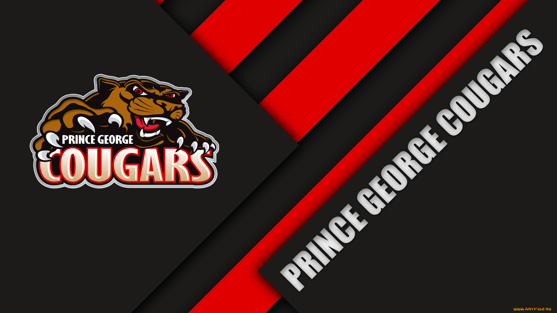 спорт, эмблемы, клубов, логотип, фон, линии, цвета, полосы