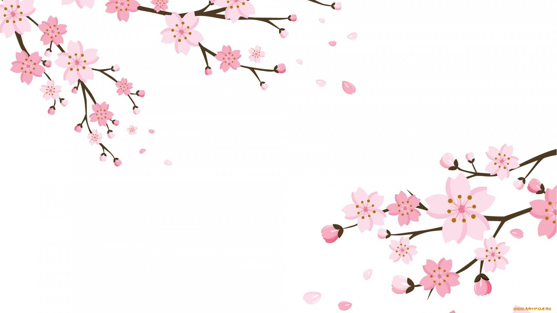 векторная, графика, цветы, , flowers, цветки, blossom, background, cherry, текстура, фон