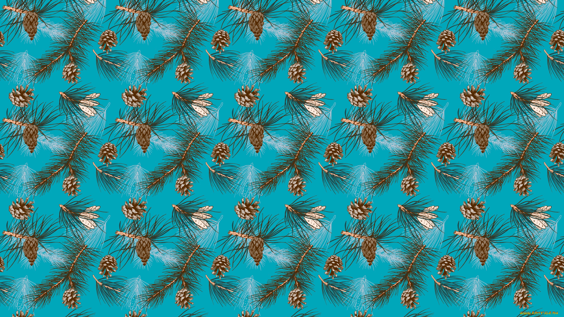 векторная, графика, природа, , nature, ветки, шишки, сосна
