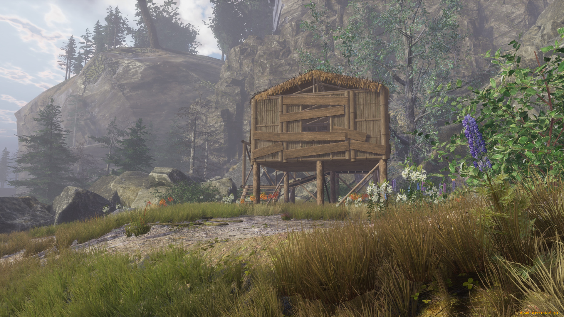 видео, игры, drizzlepath