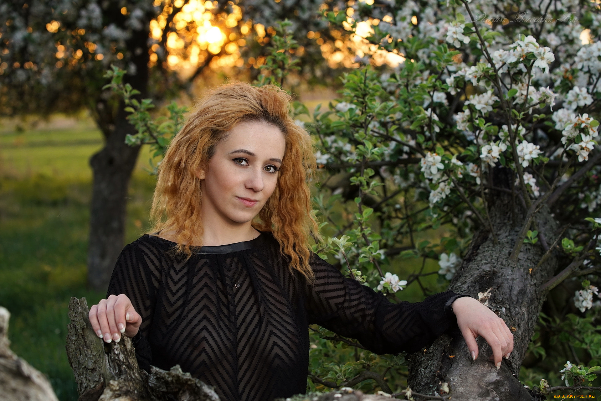 девушка, девушки, -unsort, , рыжеволосые, и, другие, модель