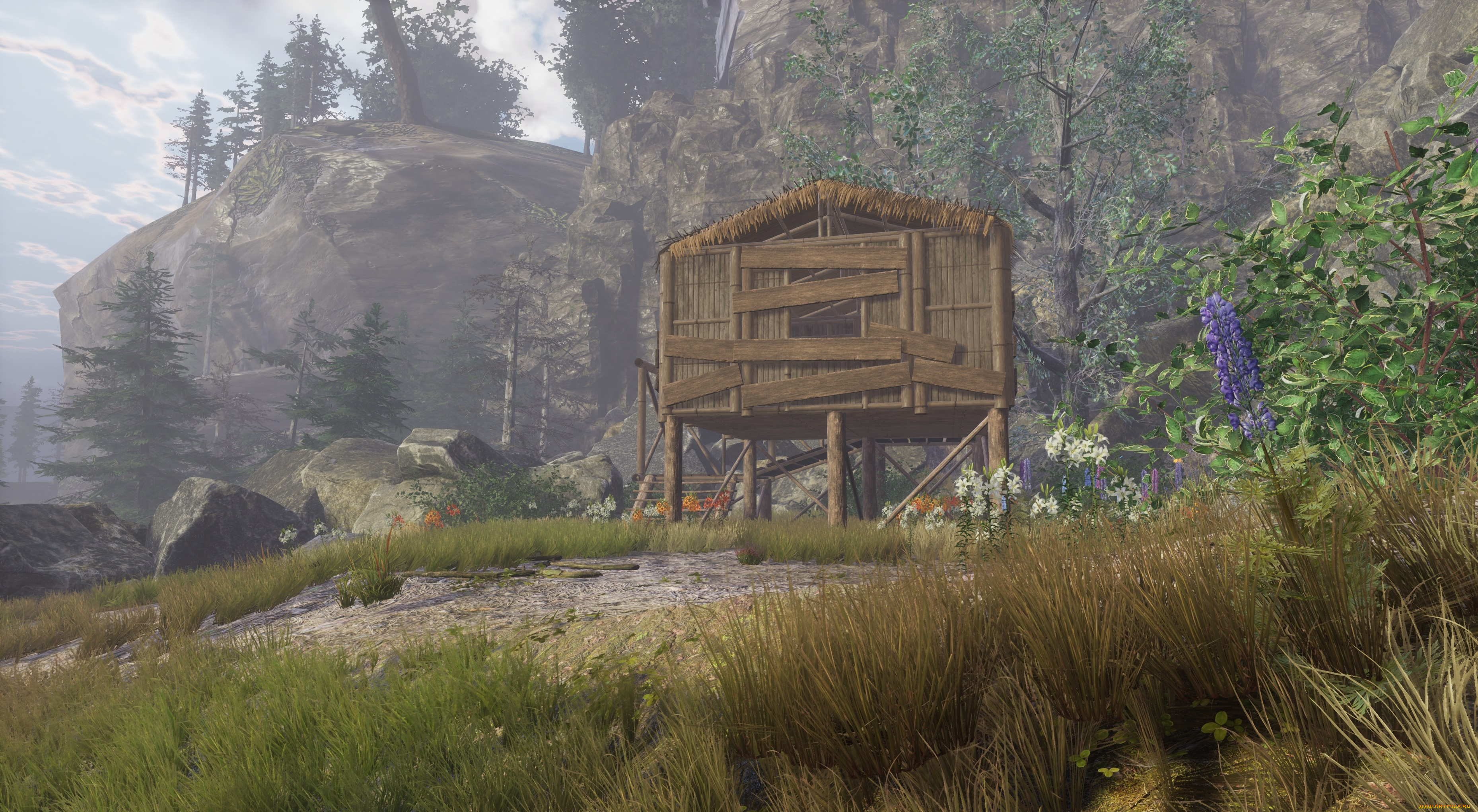 видео, игры, drizzlepath