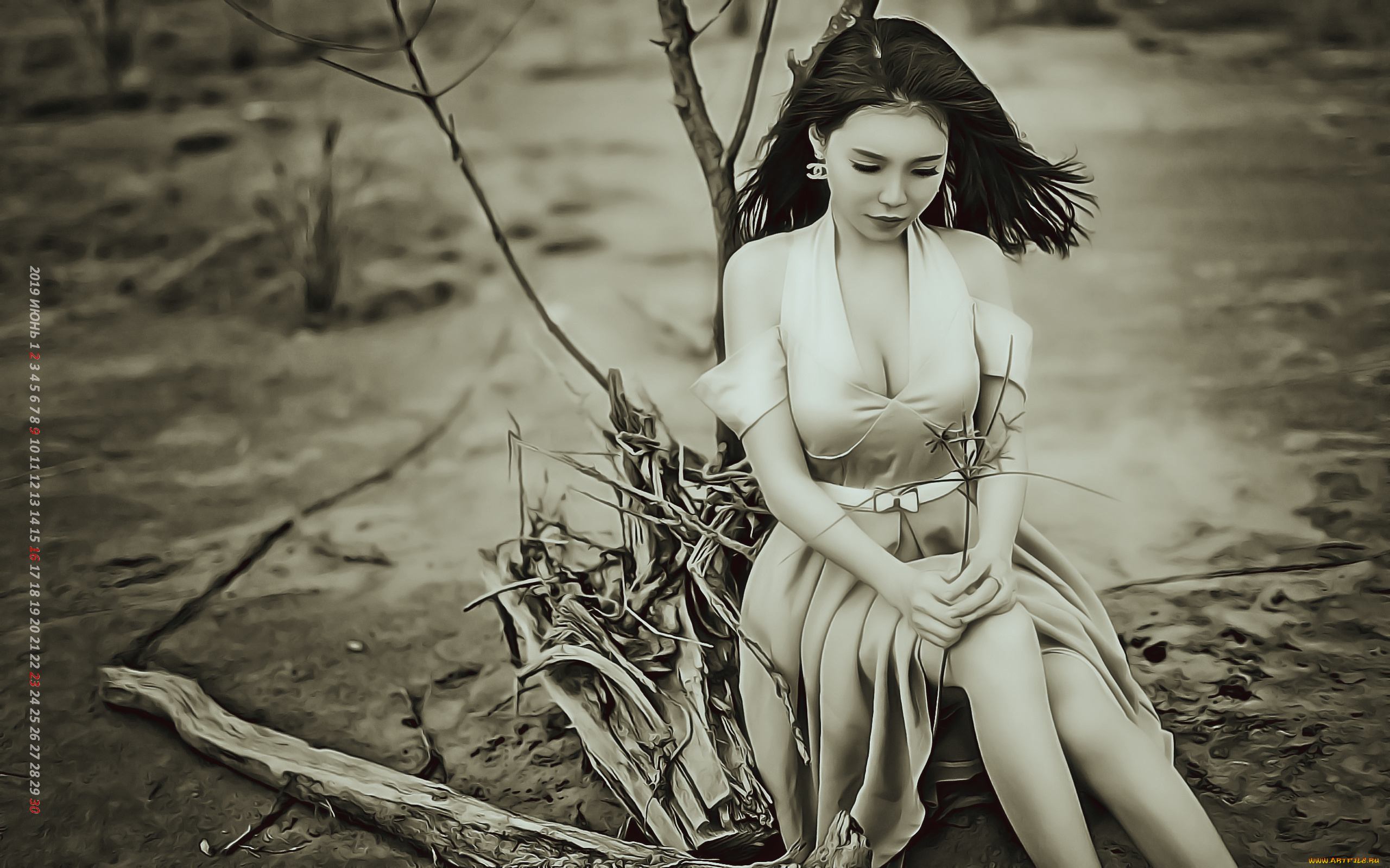 календари, компьютерный, дизайн, растение, сидеть, девушка, азиатка