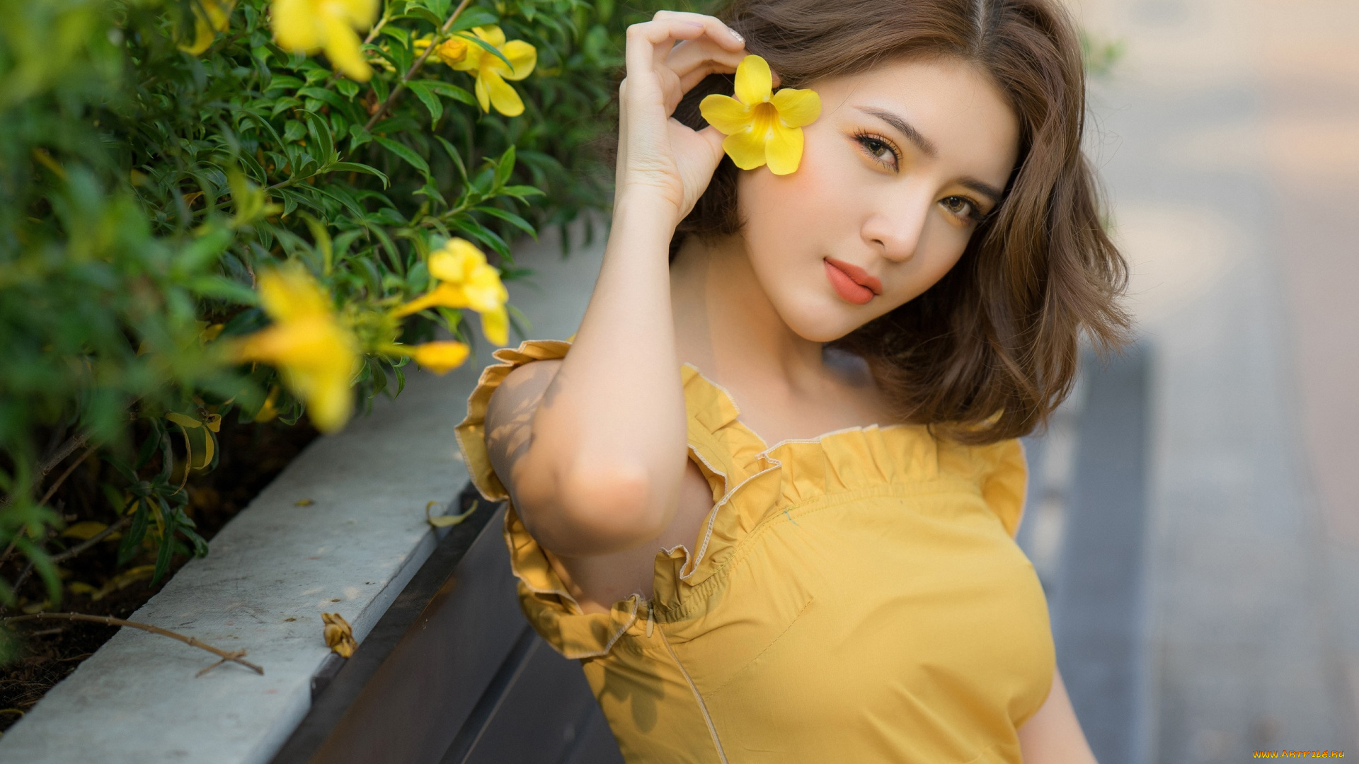 девушка, в, желтом, белье, девушки, -, азиатки, девушка, красивая, супер, секси, няша, нежная, классная, модница, лапочка, мадам