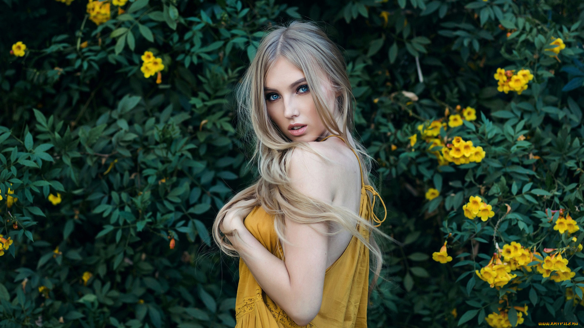 девушка, в, желтом, белье, девушки, -, блондинки, , светловолосые, девушка, красивая, супер, секси, няша, нежная, классная, модница, лапочка, мадам