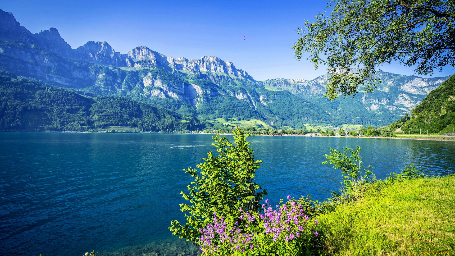 природа, реки, озера, горы, озеро, зелень