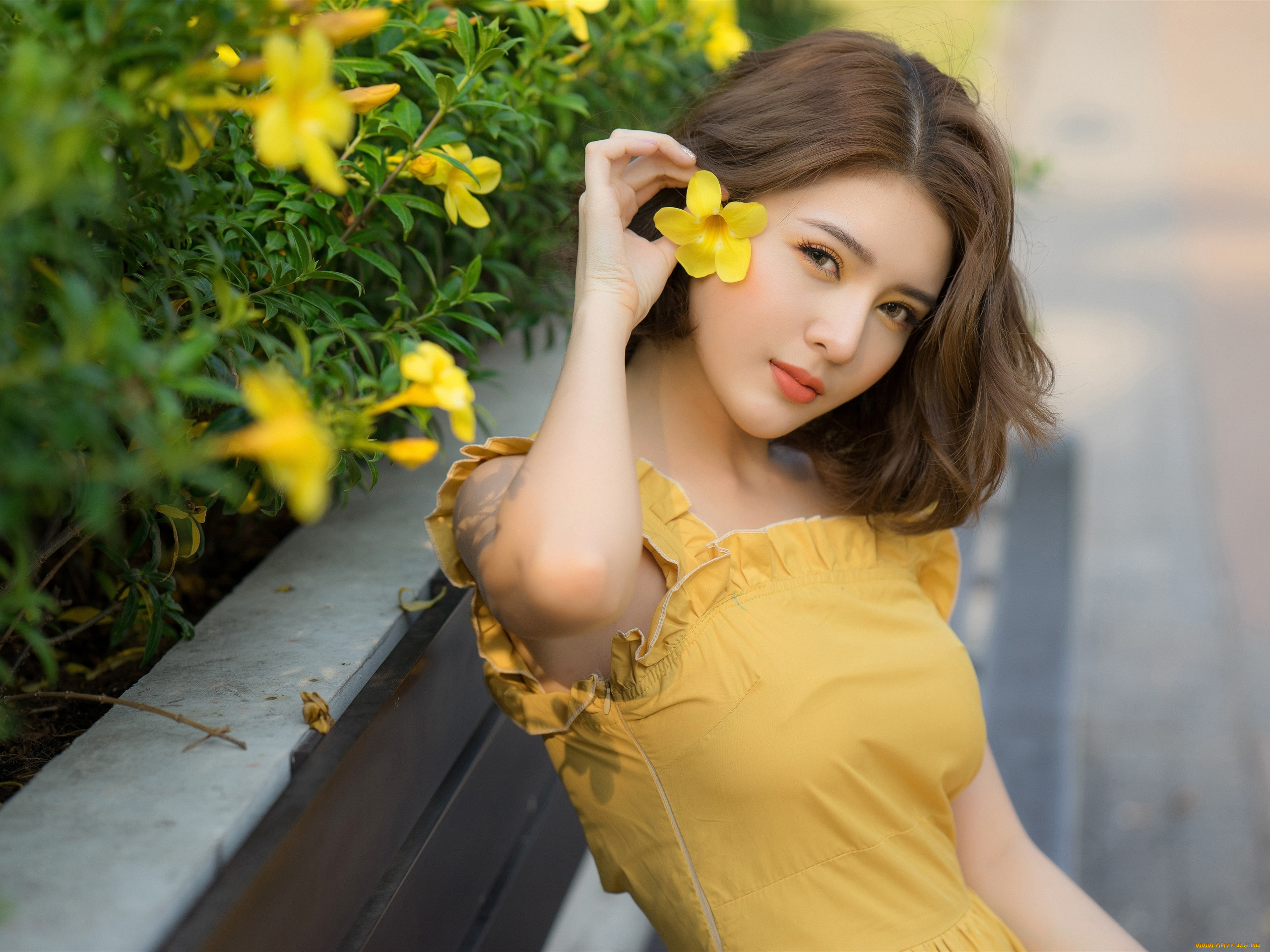 девушка, в, желтом, белье, девушки, -, азиатки, девушка, красивая, супер, секси, няша, нежная, классная, модница, лапочка, мадам