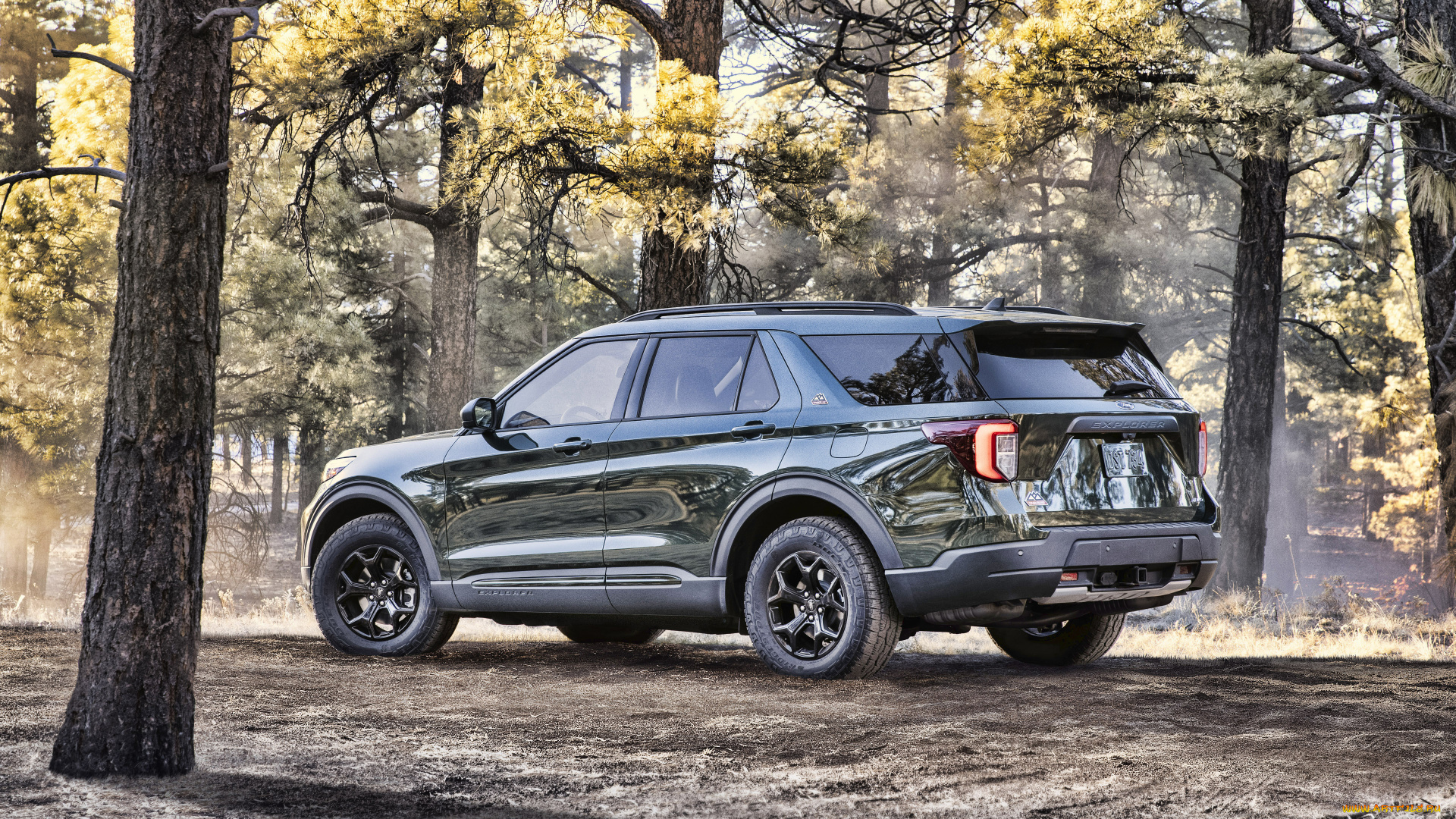 автомобили, ford, 2021, explorer, timberline, 4k, вид, сзади, экстерьер, новый, американские, форд, лес