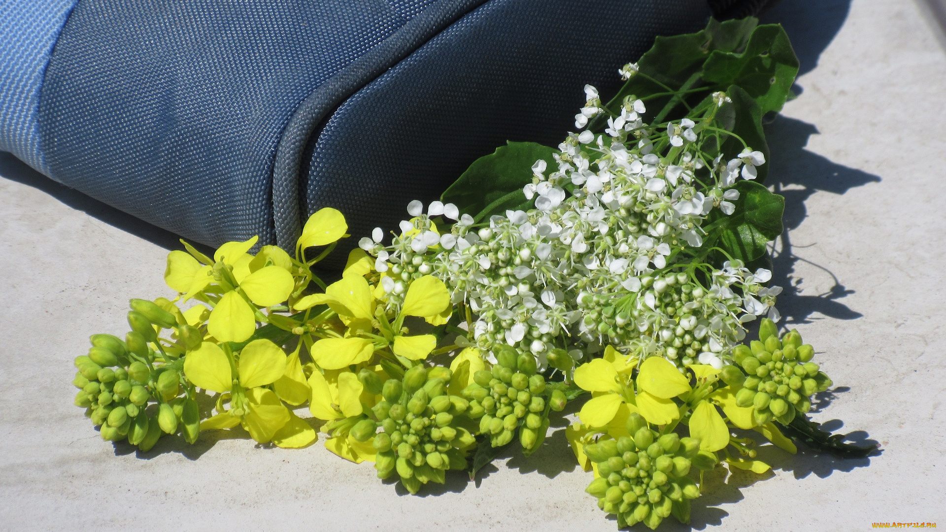 цветы, разные, вместе, букетик