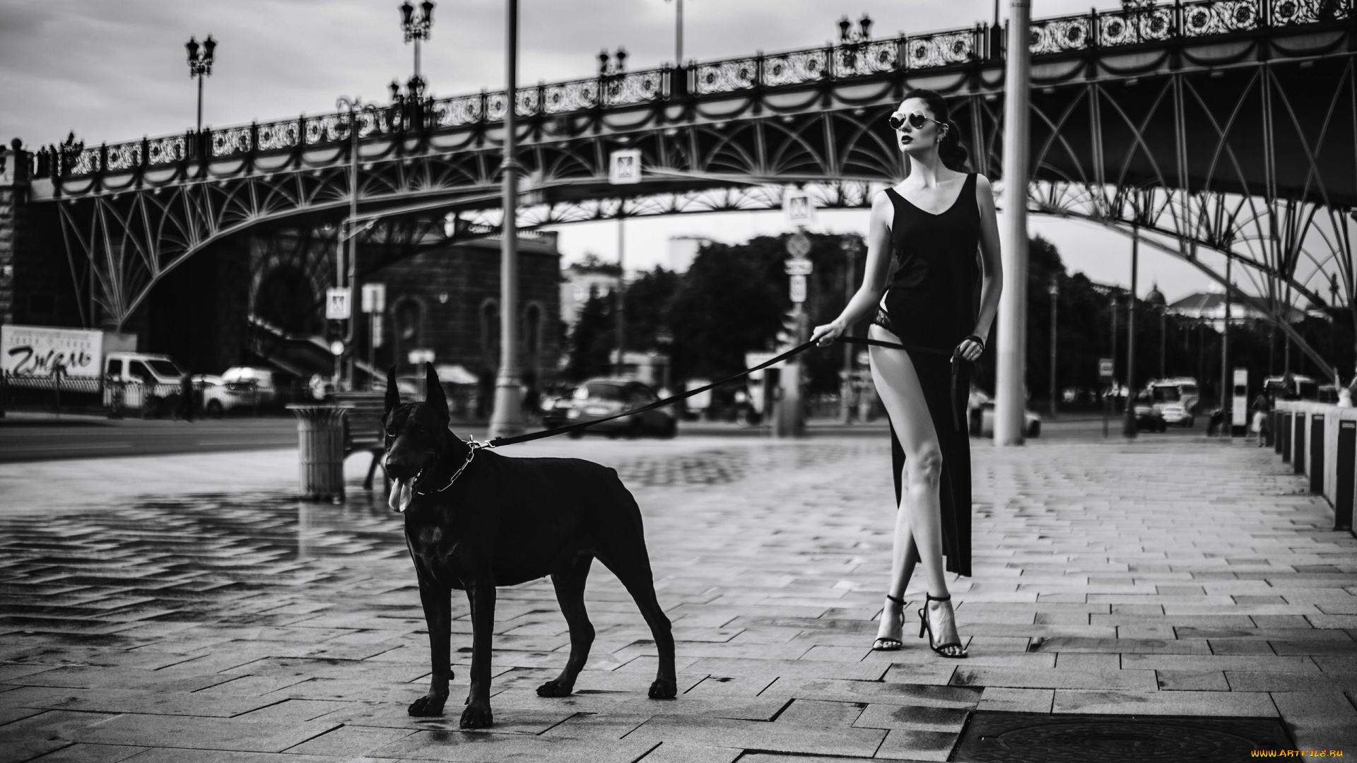 девушки, disha, shemetova, disha, shemetova