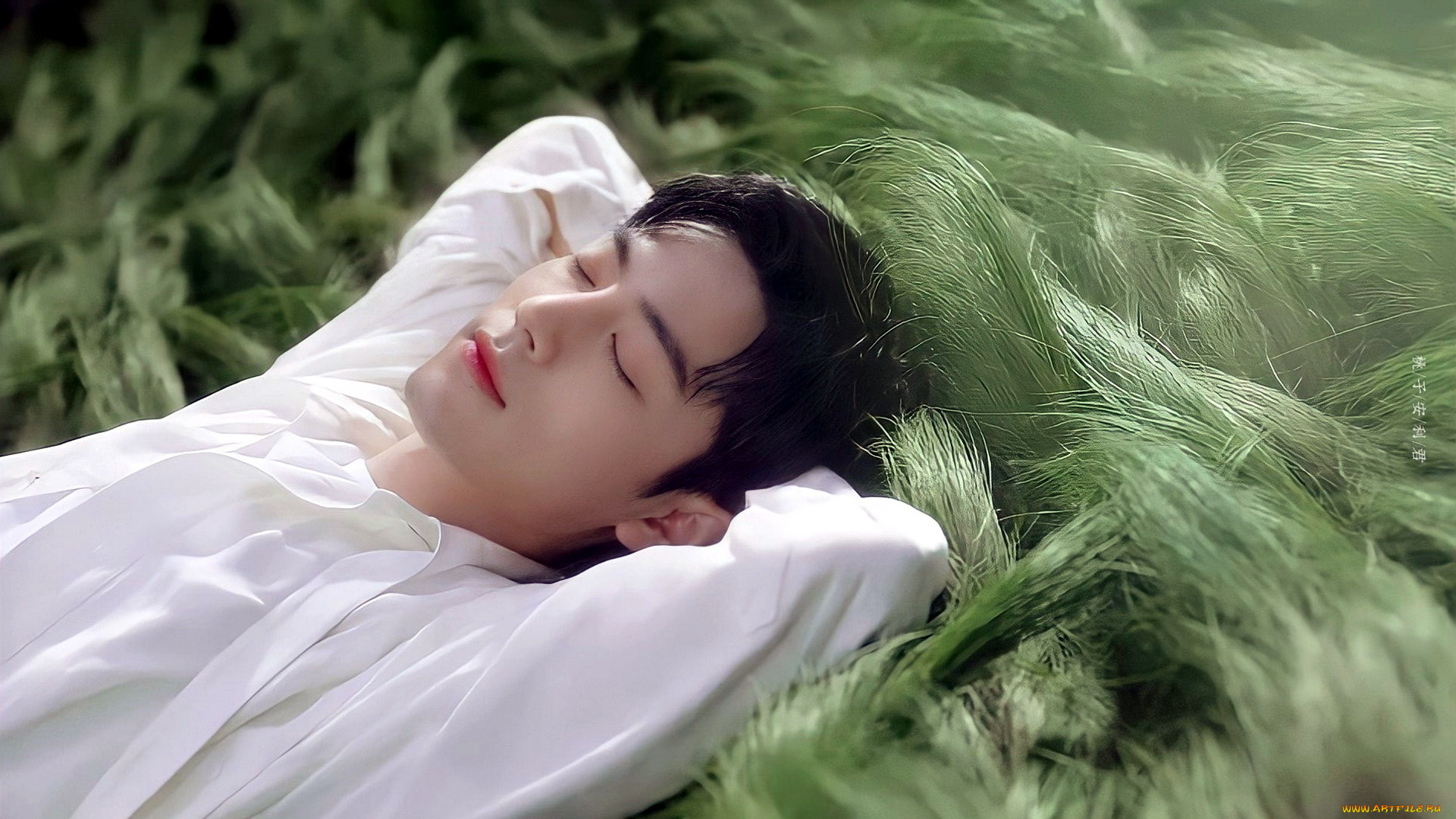 мужчины, xiao, zhan, актер, рубашка, трава