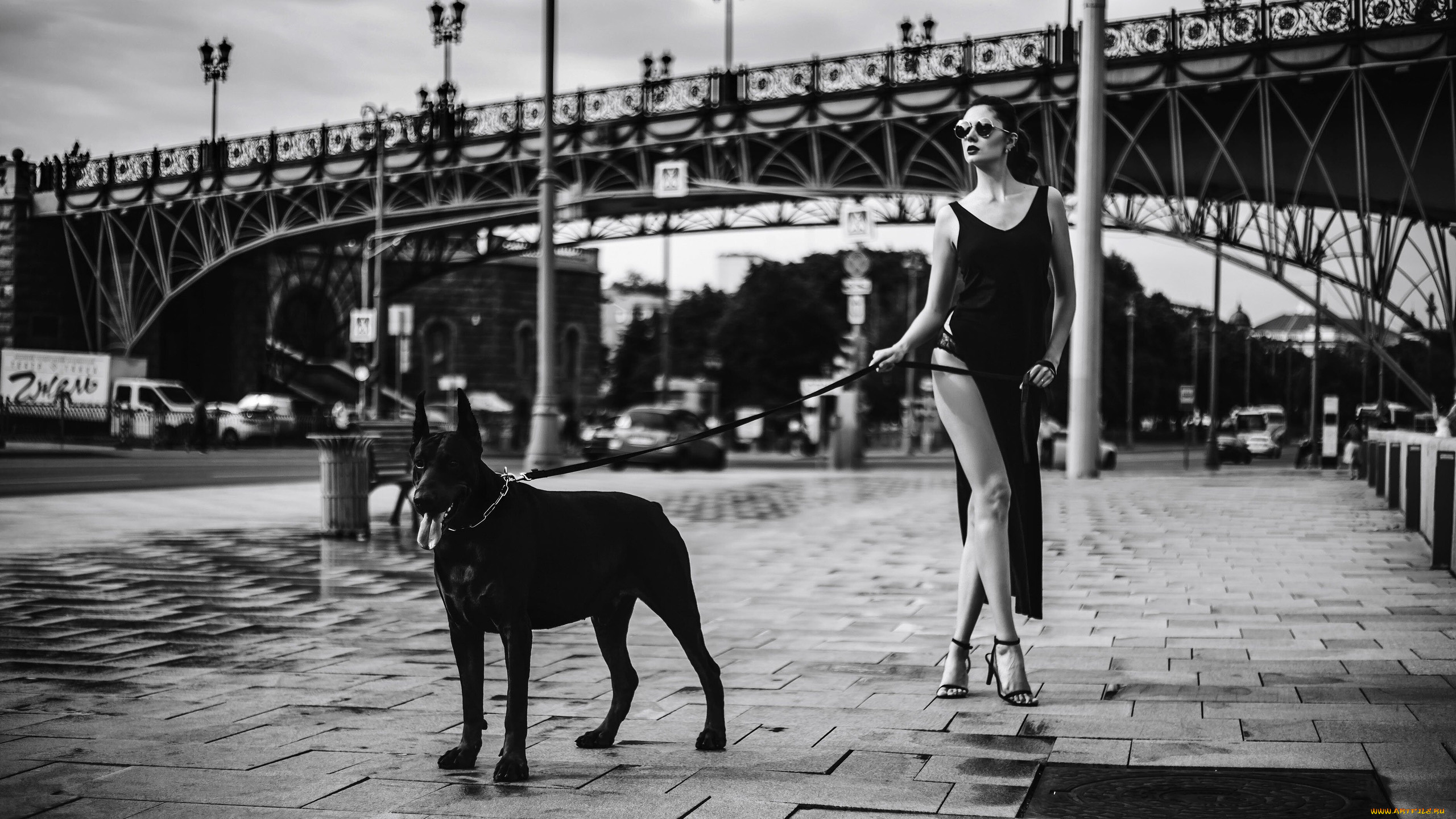 девушки, disha, shemetova, disha, shemetova