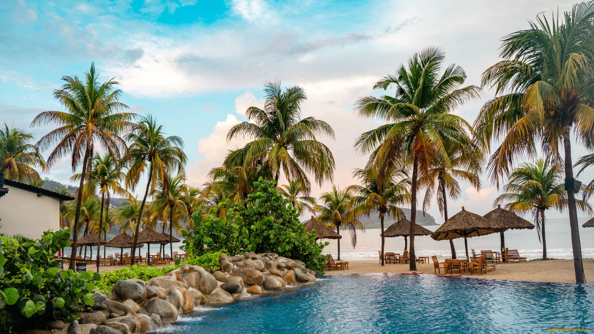 интерьер, бассейны, , открытые, площадки, бассейн, тропики, пальмы