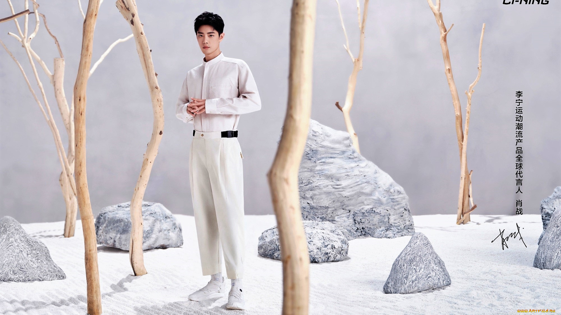 мужчины, xiao, zhan, актер, рубашка, брюки, камни, сучья