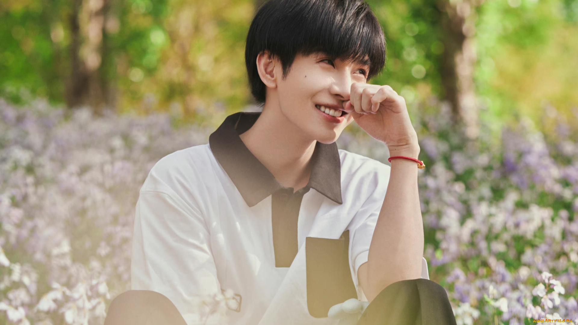 мужчины, zheng, fan, xing, чжен, фаньсин